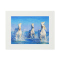 Connemara Pony - Acrylic Fine Art Print (Passepartout Frame)